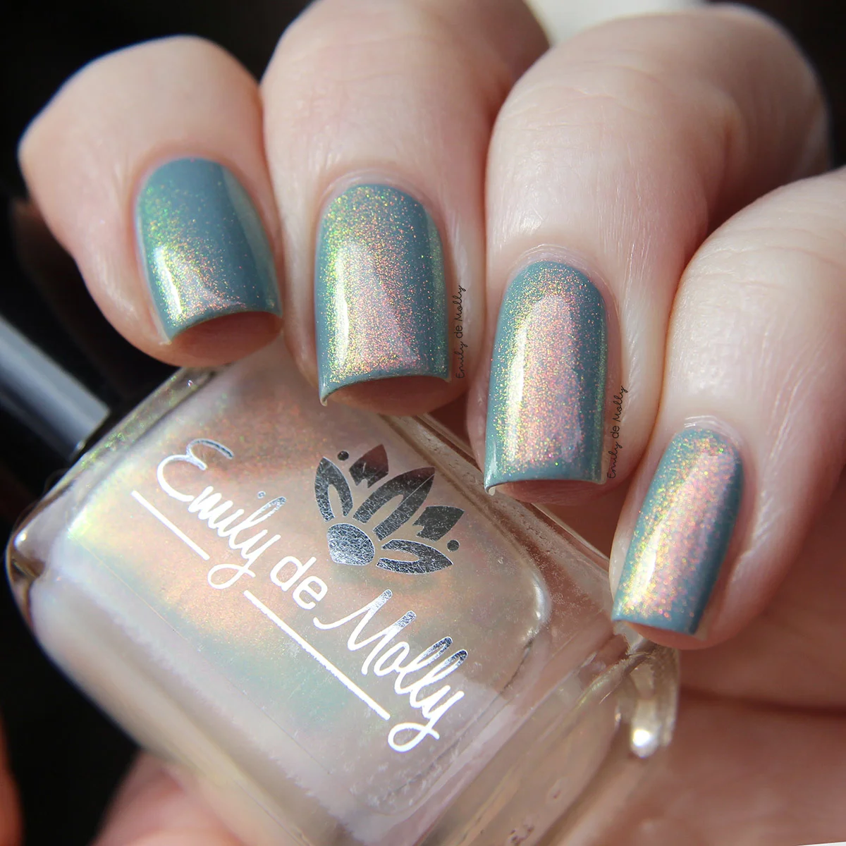 Nail Lacquer